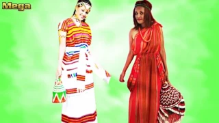 Abbabaa Abashuu Oromo Music 