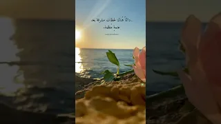 موسيقى جميلة وهادئة حالات واتس اب عبارات جميلة ج مل م عبرة فيديو ورد وبحر 