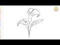 Calla lily flower drawing easy Outline art sketches How to draw A Calla lily flower step by step
