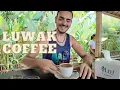 Indonesia Vlog 4 | I Have Tasted LUWAK COFFEE!! ☕
