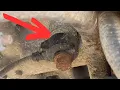 Knock Sensor Kia Soul 1 6L 2012-2016 Location and Replacement