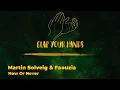 Martin Solveig & Faouzia - Now Or Never