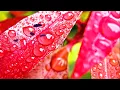 Better Days Ahead - Norman Brown