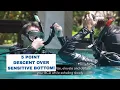 Download Lagu 5 Point Descent Over a Sensitive Bottom • Skill PADI Open Water Diver Course Scuba Diving Tips