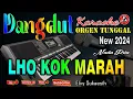 Download Lagu Lho Kok Marah - Karaoke Dangdut Orgen Tunggal (Nada Pria) Album Lawas Elvy Sukaesih