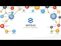 International presentation Sensus BPM Online