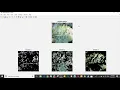 Rice Diseases Detection