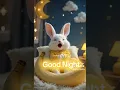 Good Night Smooth Animation Sound
