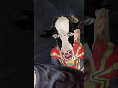 Moo 🐮