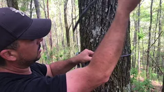 Wild Edge Stepps Modifications