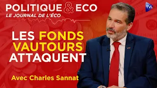 CRISE DE LA ZONE EURO : LA FRANCE DÉTONATEUR ? - Charles Sannat dans Politique & Eco - TVL