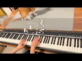 【MIRROR鋼琴系列】 地球上最後的一朵花 - Ian 陳卓賢 【🎹鋼琴版 Piano Cover by Wun Piano】