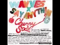 Wavves x Say Anything - Cherry Soda (Full Album)