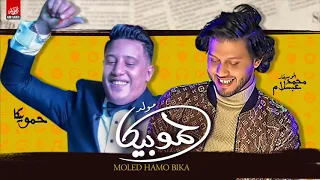 حمو بيكا و عبسلام    مولد حمو بيكا   مزمار فرحة حمو بيكا      دندنها