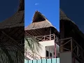 Download Lagu Beautiful palapa on house Tropical 🌴 Playa del Carmen Mexico life #caribbean #casa #rooftop #design