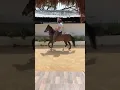 Download Lagu Bellaca de villa rita(Donjaca de sanIsidro x velero de villa elvira)