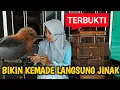 Download Lagu Cara Menjinakkan Burung Kemade Giras | Tips Ini Terbukti Ampuh MP3