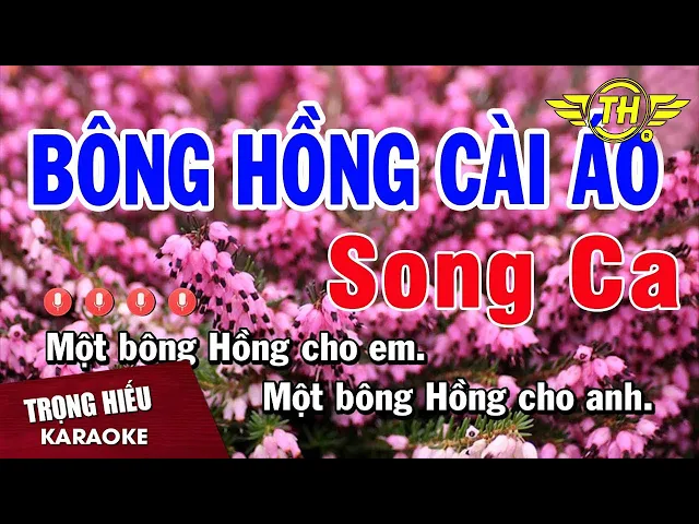 Karaoke Bông Hồng Cài Áo Song Ca Nhạc Sống | Trọng Hiếu