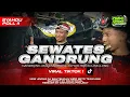 Lagu DJ BANTENGAN SEWATES GANDRUNG, GANDRUNG AKU GANDRUNG‼️ WIRO SETO TEAM ASIK, From @omnivoraproject 
