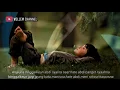 Download Lagu SYAIRAN SUNDA SANTRI SALAFI - Di Tinggal Nyalira Teks Lirik