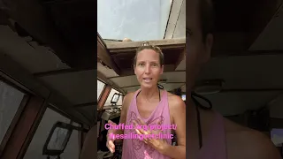 Wanna do something awesome today? #shorts #letsdothistogether #savinganimals @vetTails