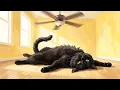 Black Cat Jazz Club Radio - Vintage 1940s Noir Jazz for Hot Nights Cold Floors Black Cat