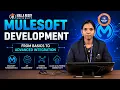 MuleSoft Development From Basics to Advanced API Integration MRU E-Learning