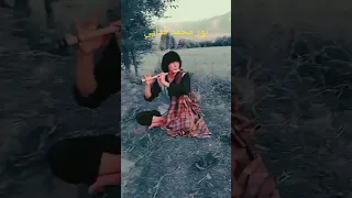 توله بسیار عالی نور محمد فدایی Flute Song Music Flutemusic Livemusic Love Tabla Coversong 