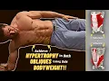BEST Bodyweight Exercise For HYPERTROPHY of the External Internal OBLIQUES At-Home Workout