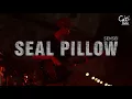 SEAL PILLOW - SENSEI @CAT EXPO#4