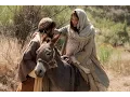 Download Lagu Little Donkey with lyrics and scenes from The Nativity