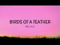 Billie Eilish - BIRDS OF A FEATHER (Lyrics)