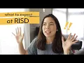 All about RISD from a recent grad