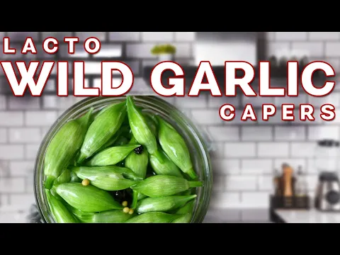 Wild Garlic Buds Lacto Fermentation  - #WildGarlic | Noma Guide to Fermentation