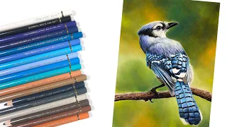 Download Blue Jay with Colored Pencils - How to Draw a Bird MP3