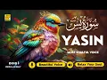 Download Lagu Surah Yasin (Yaseen) سورة يس ✦ Beautiful voice heart touching ✦ Calming Quran For Sleep ✦ Alaa Aqel