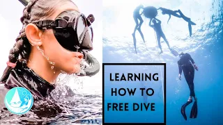 Free Diving living on a boat | Episode 228 (Sailing Catalpa)