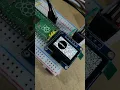 ssd1306 SPI OLED on Raspberry Pi using displayio