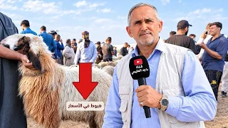 انهيار غير متوقع في أسعار خرفان القصابة.. هل يحلمون أم حقيقة؟ وما خفي أعظم!"