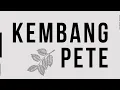 Download Lagu KEMBANG PETE - Lagu Paling Romantis Iwan Fals