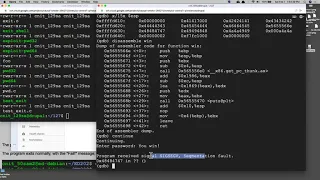 CNIT 127 Project ED 202 Demo Buffer Overflows
