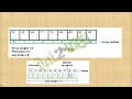 Array in Java Programming Object Oriented Programming ABS College BRABU Muzaffarpur