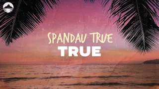 Spandau Ballet - True