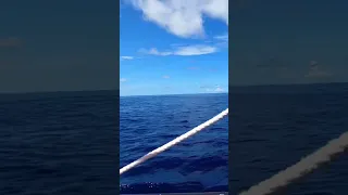 Smooth Sailing ⛵️ Conditions