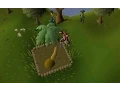 Tree Route Speed Run Farming Oldschool RS
