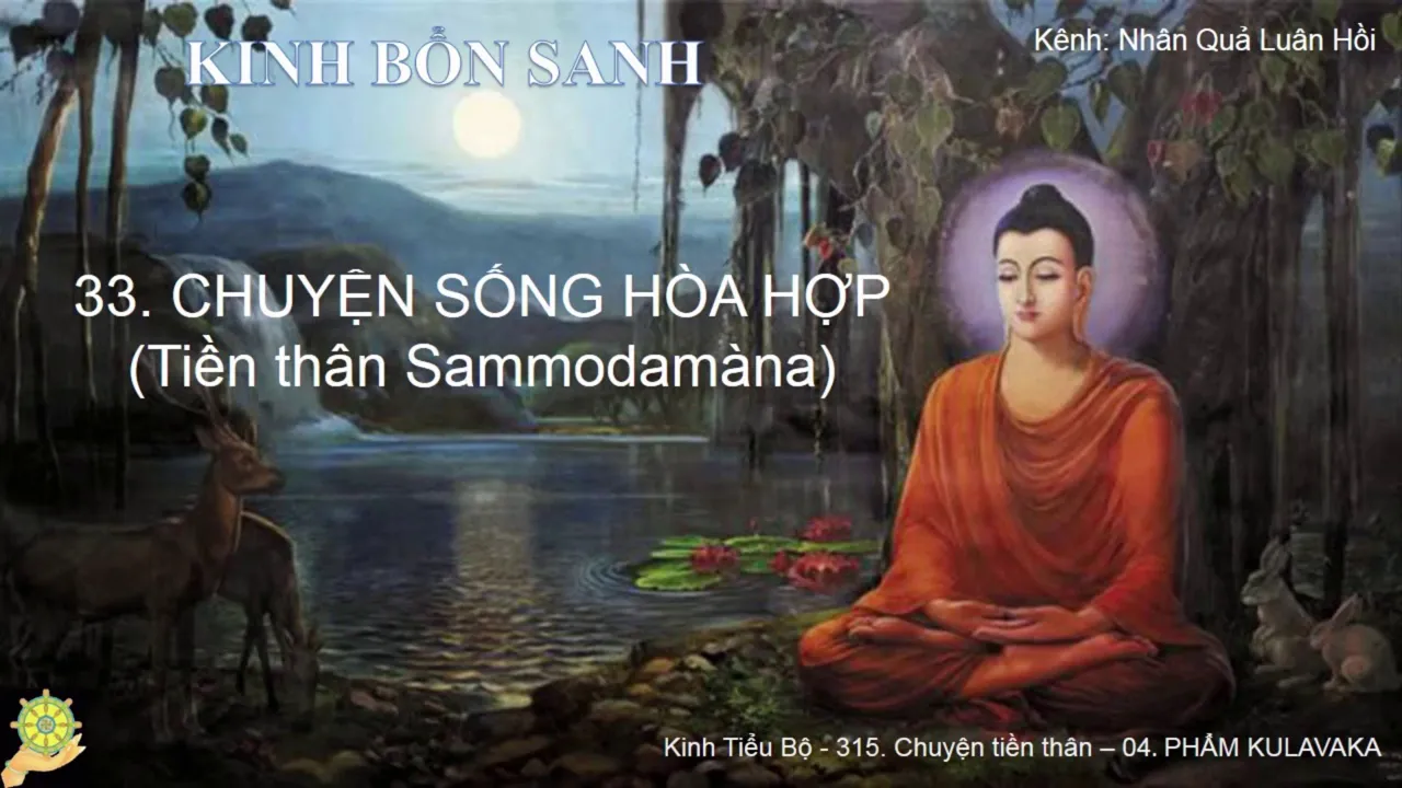 33 Truyện SỐNG HÒA HỢP Tiền thân Sammodamàna Truyện Tiền Thân Đức Phật Tập 1 