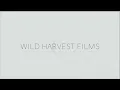 Wild Harvest/Wild Harvest Films/WGCU/American Public Television (2022)