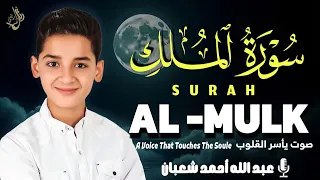 سورة الملك كاملة جديد و حصري القارئ عبد الله شعبان Surah Almulk By Abdullah Shaaban 