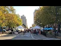 LIVE Farmers Market Springfield Illinois Downtown