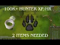 How to OSRS Guide For Hunter Training Razor-Backed Kebbits 2025